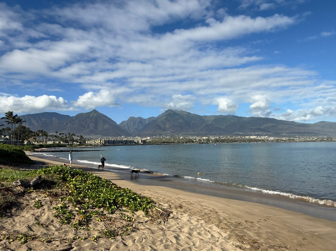 Hoaloha Park-卡胡卢伊必去景点