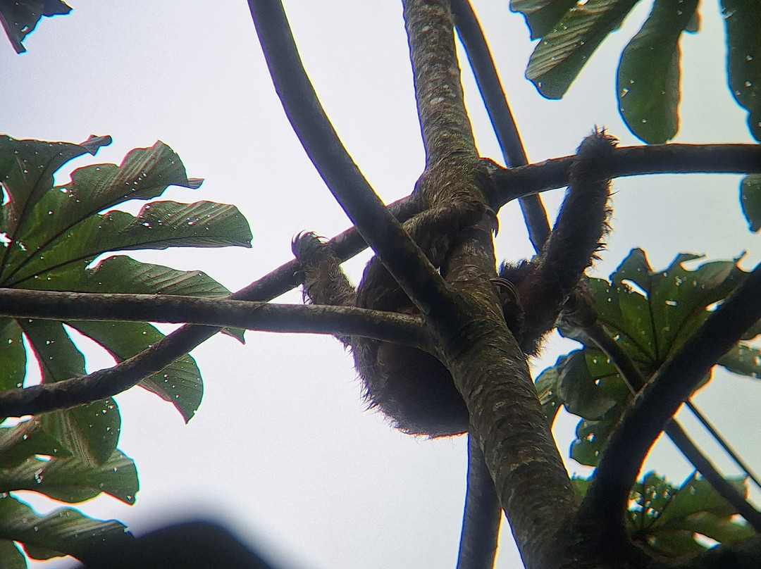 Sweet Costa Rica-塔马林多必去景点