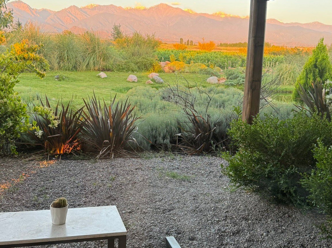 Gimenez Riili Bodega & Viñedos-Tunuyan必去景点