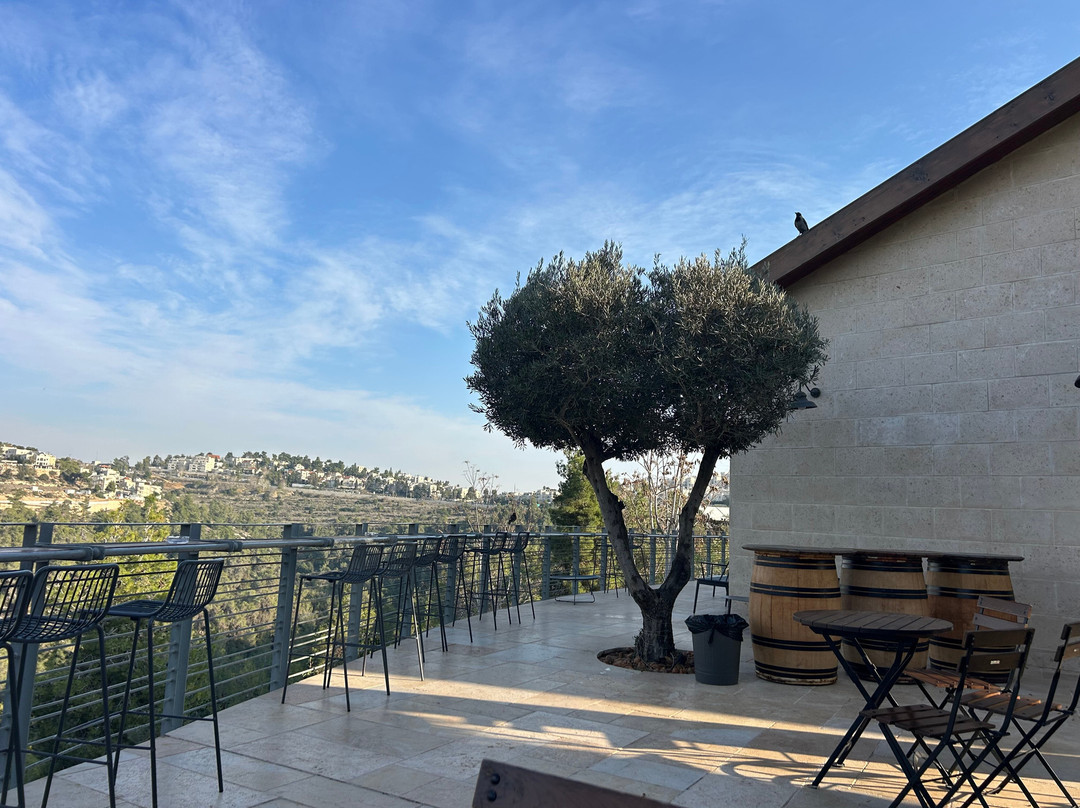 Domaine du Castel Winery-Yad Hashmona必去景点