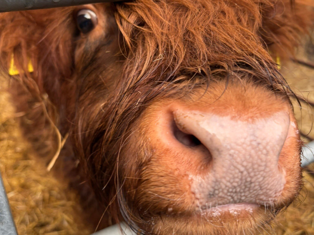 Dumble Farm-比弗利必去景点