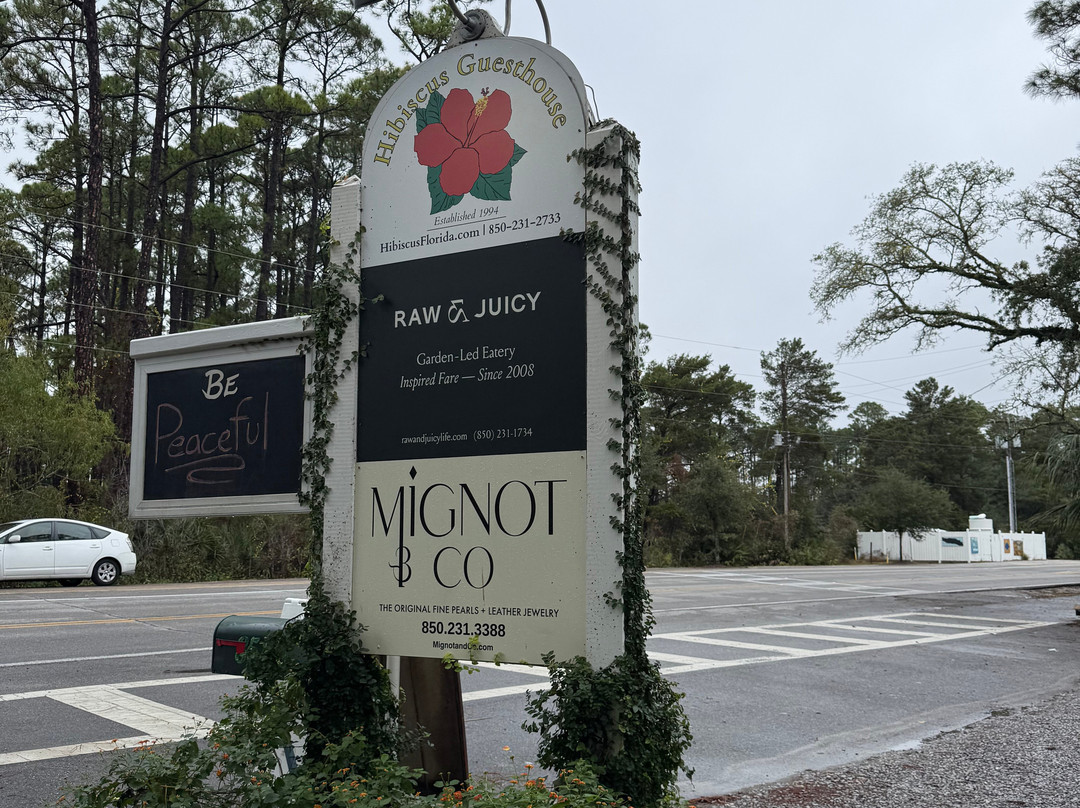 Hibiscus Guesthouse主图