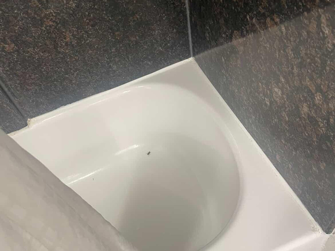 奥兰治拉金塔旅馆&套房酒店主图