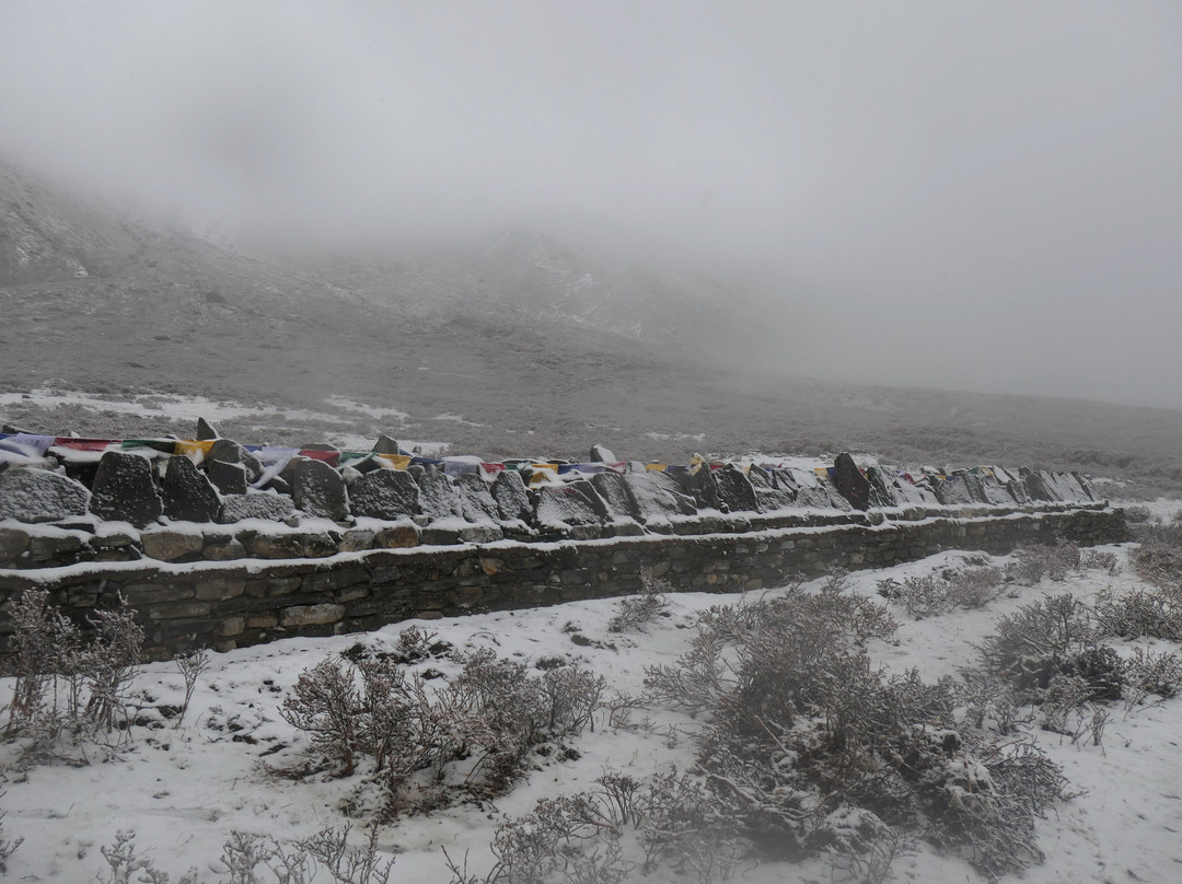 Glacier Trek and Adventure-Yuksom必去景点