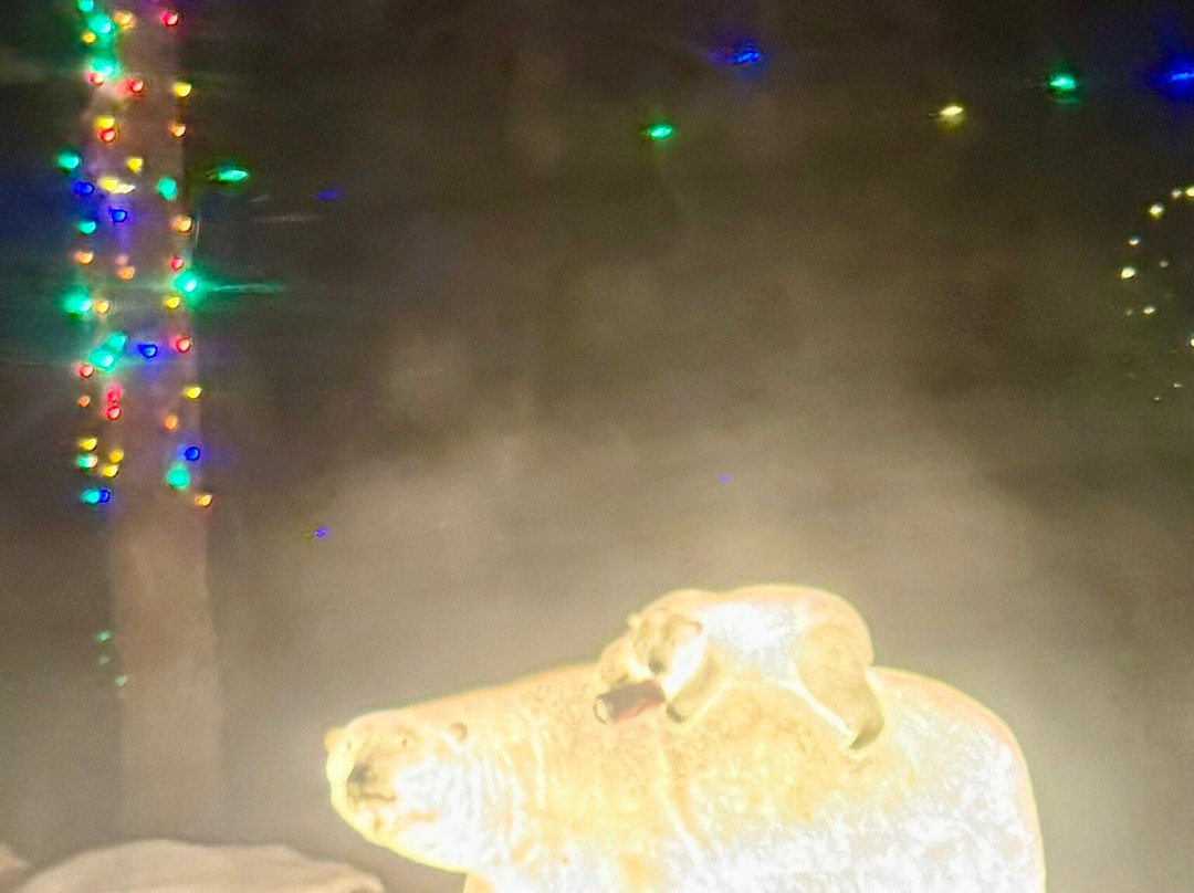 Georgetown Loop Railroad-Georgetown必去景点