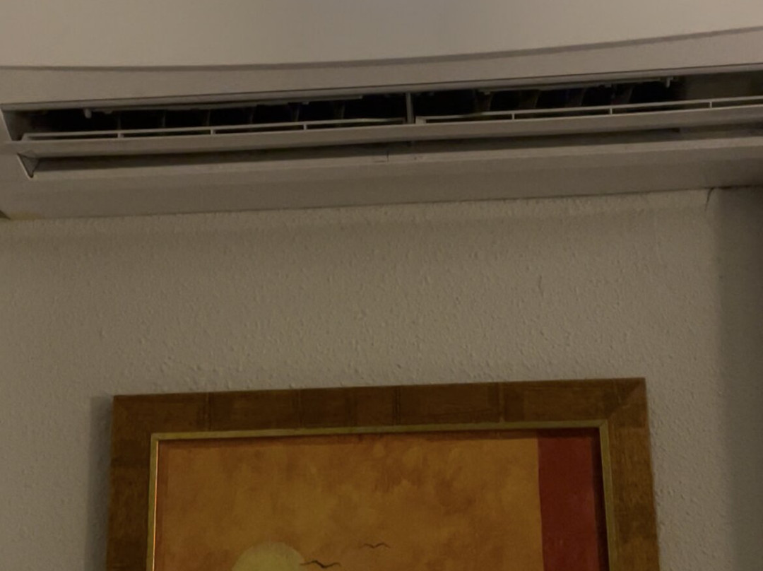 佐迪亚科酒店主图