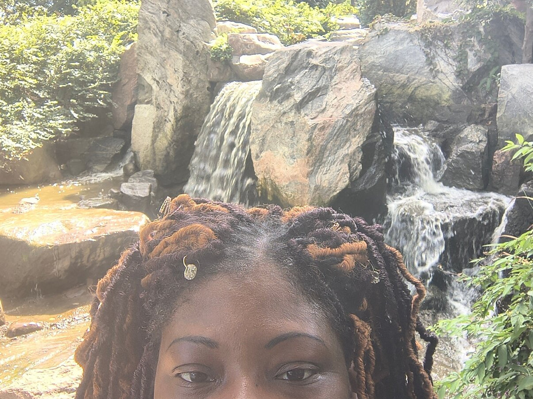 Jackson Park's Japanese Garden-芝加哥必去景点