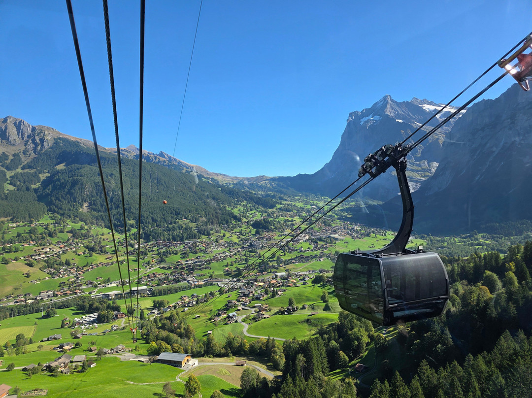 Eiger Express-格林德瓦必去景点