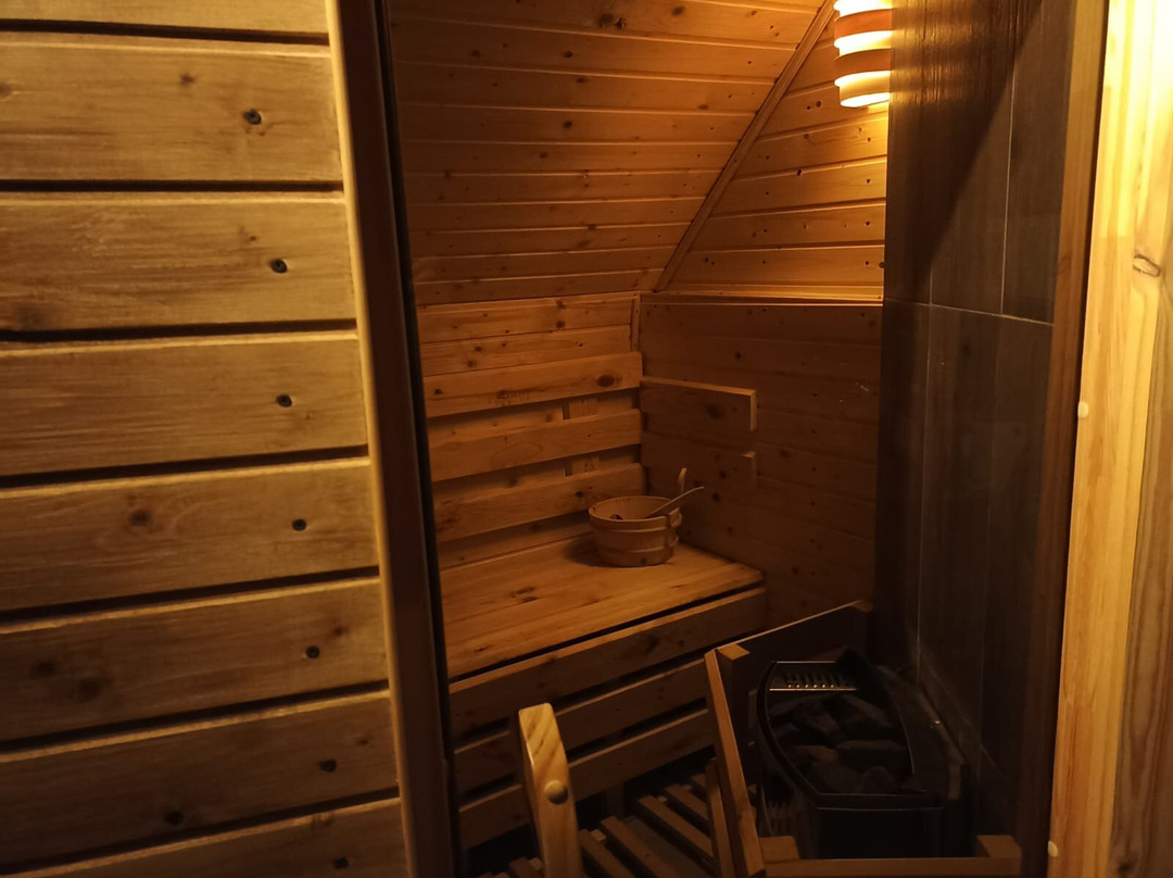 Baia Sprie酒店住宿-Pensiunea Verde