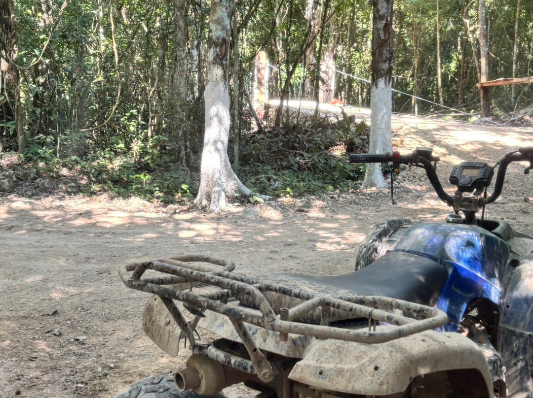 Cenote La Noria-从莫雷洛斯港必去景点