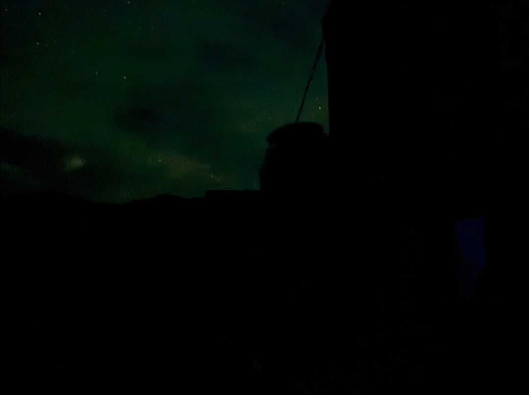 Bauchops Hill Station Farm Tour-菲尔利必去景点