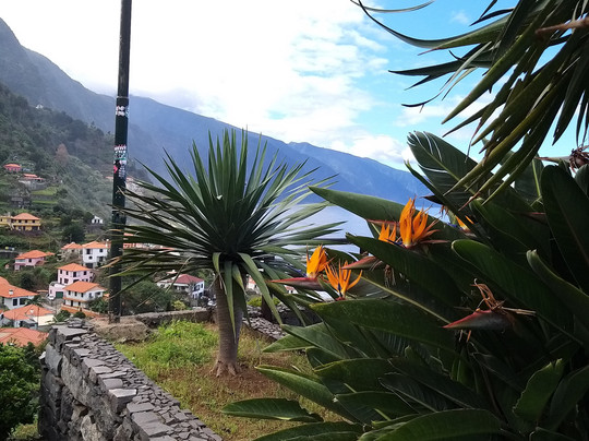 Banana Joe Tours Madeira-马德拉群岛必去景点