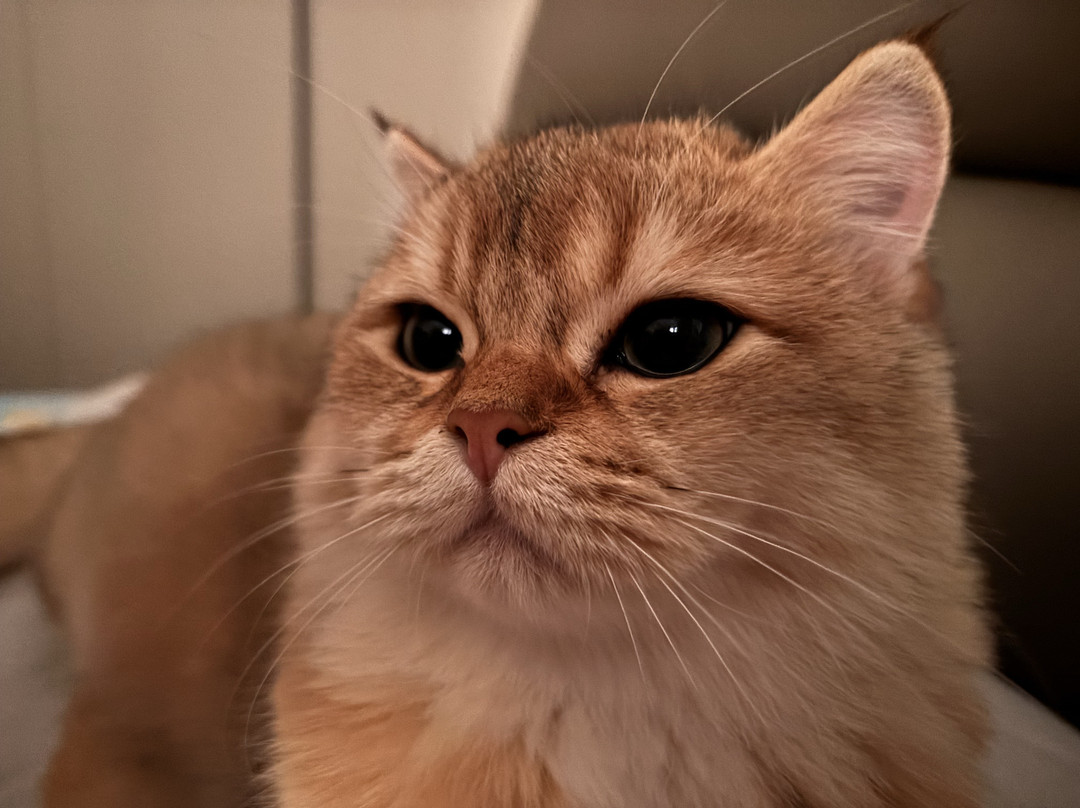 曙光国际大酒店主图