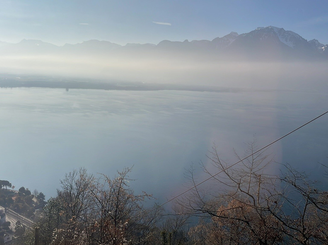 Funiculaire Territet - Glion-泰里特必去景点