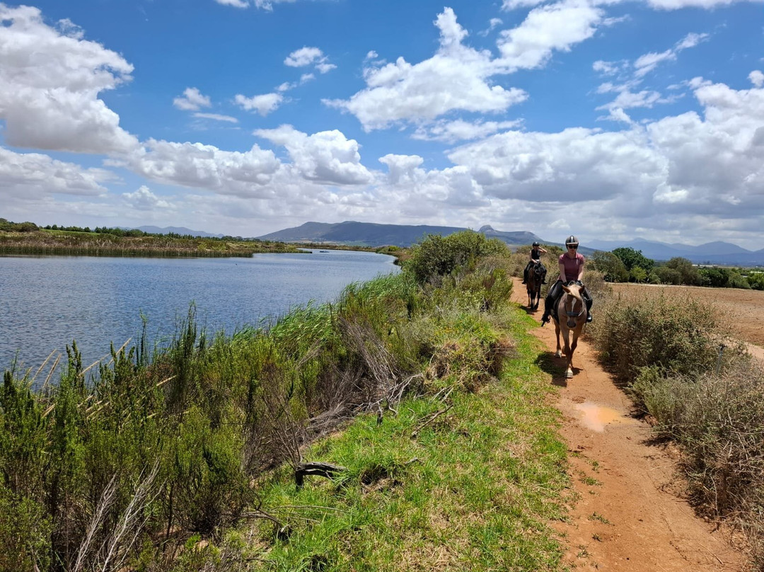 Cape Winelands Riding-Simondium必去景点