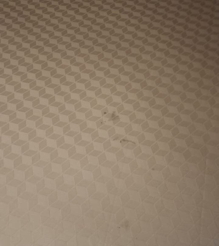 费斯塔客栈酒店主图