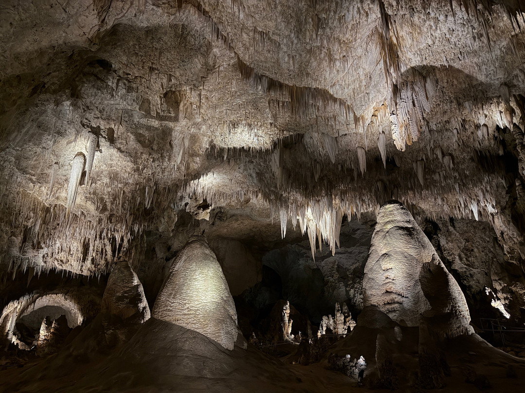 Bottomless Pit-卡尔斯巴德洞穴国家公园必去景点