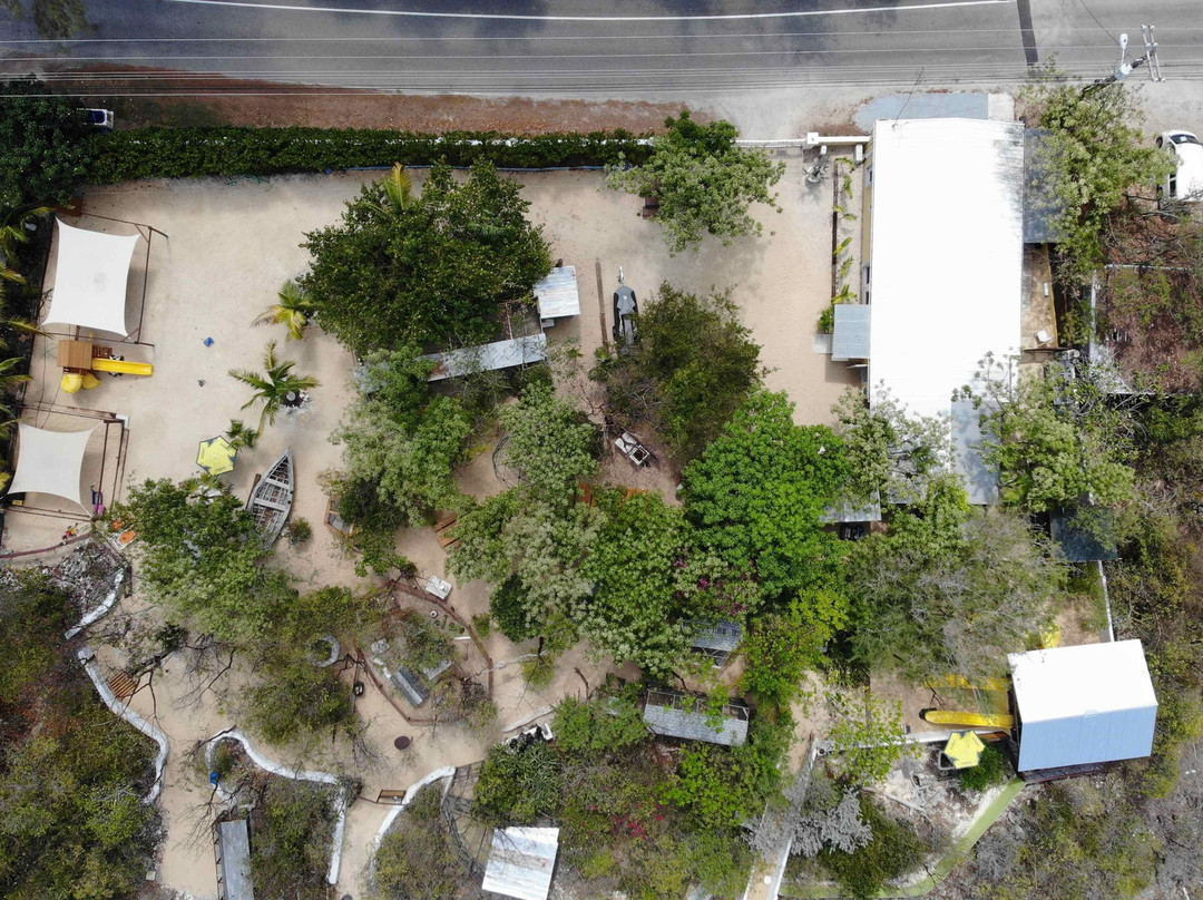 Cayman Parrot Sanctuary-East End必去景点