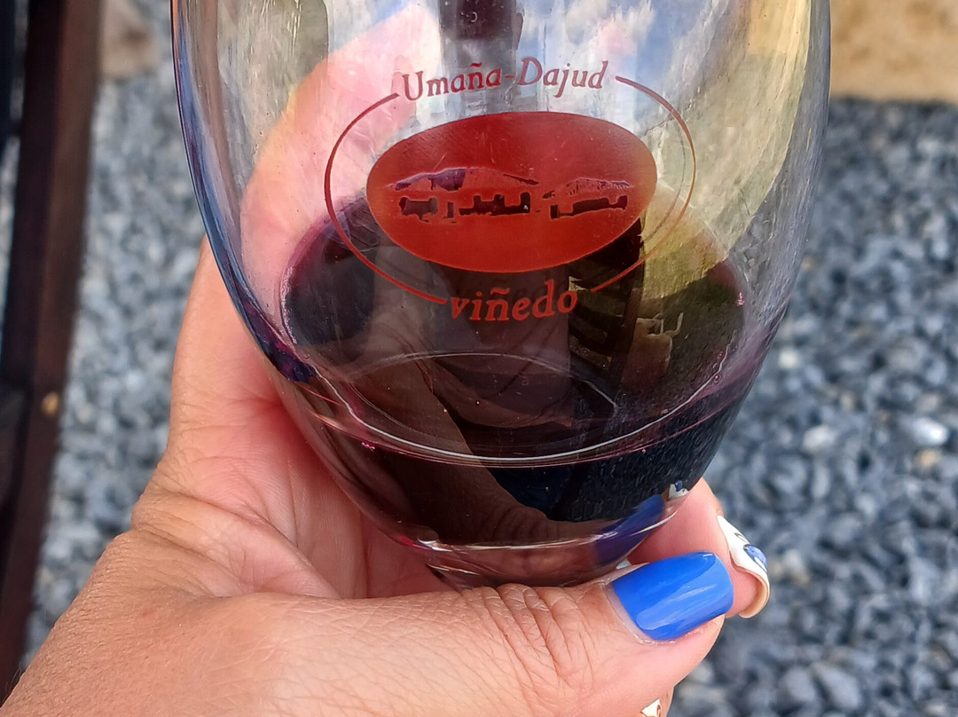 Vinedo Umana Dajud-莱瓦镇必去景点