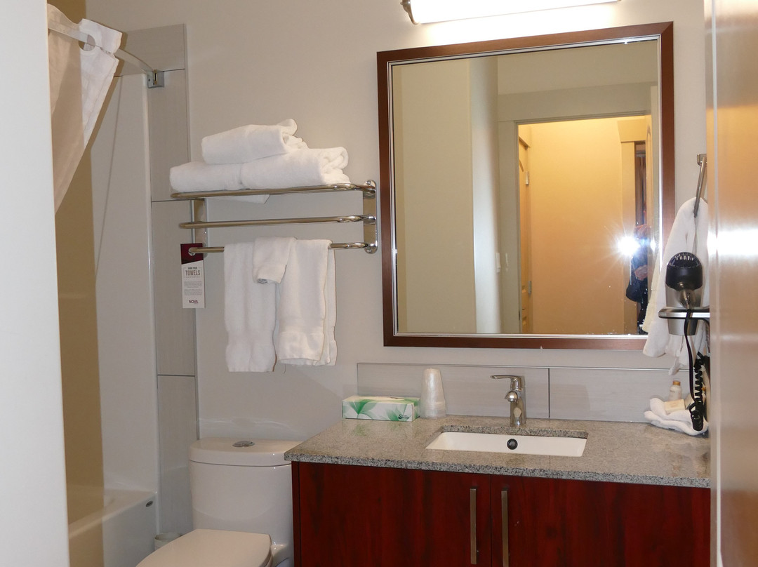 诺瓦耶洛奈夫城堡酒店主图