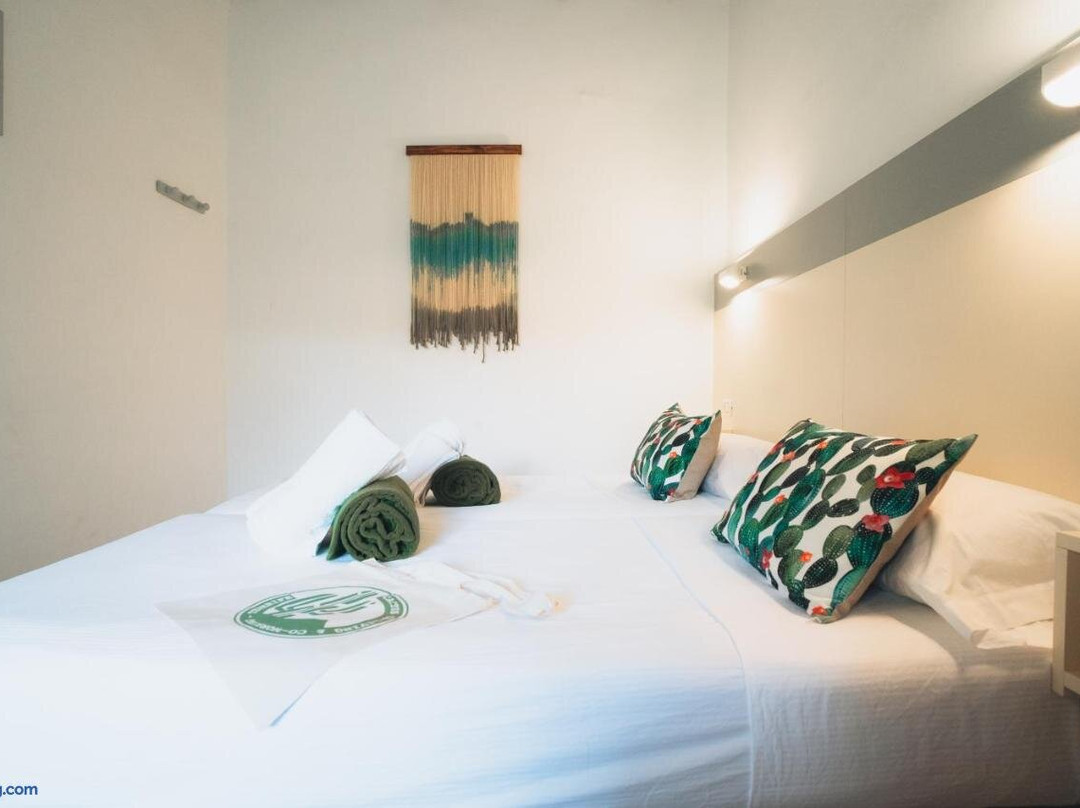 Cactus Hostel