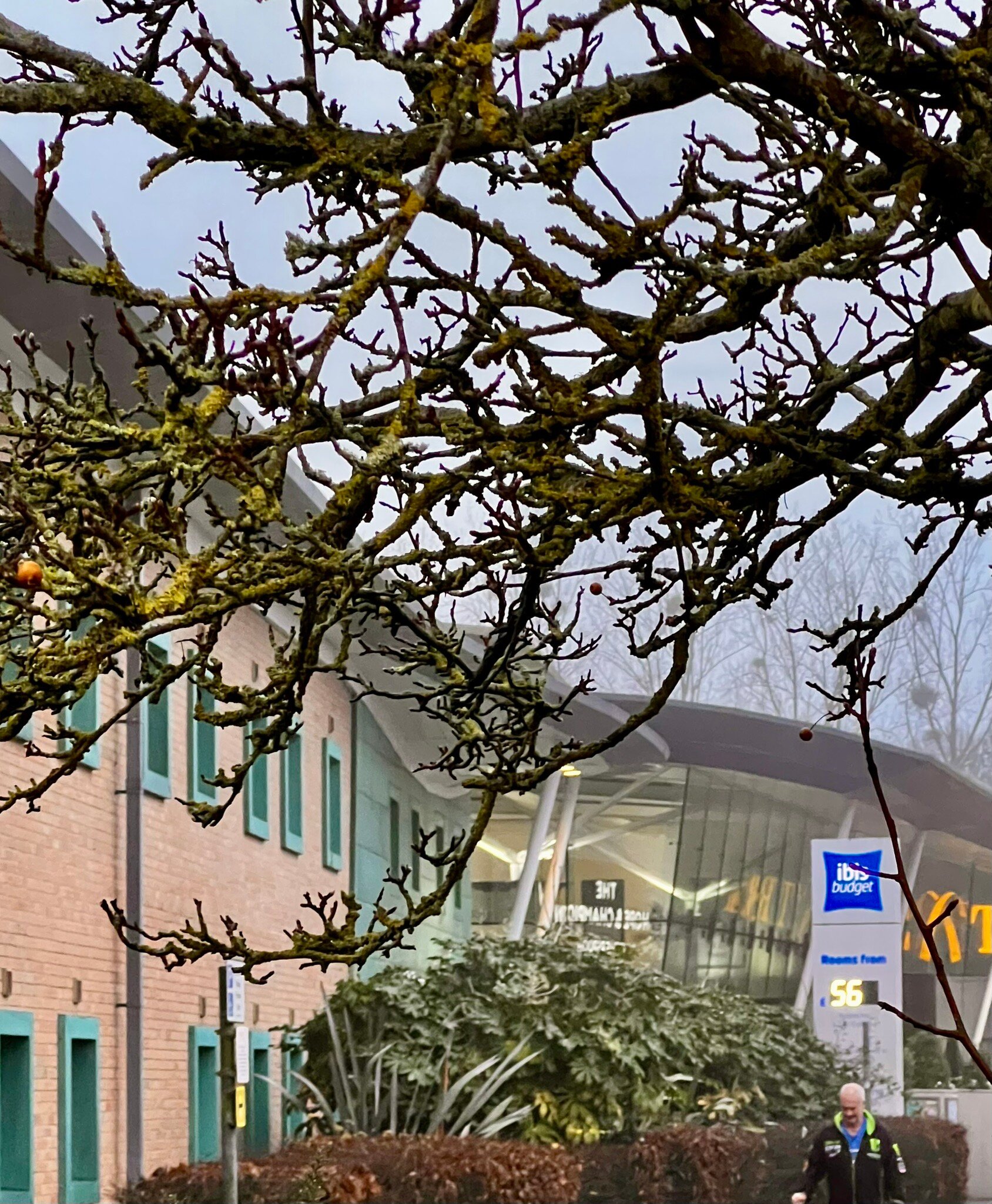 ibis budget Beaconsfield-官方