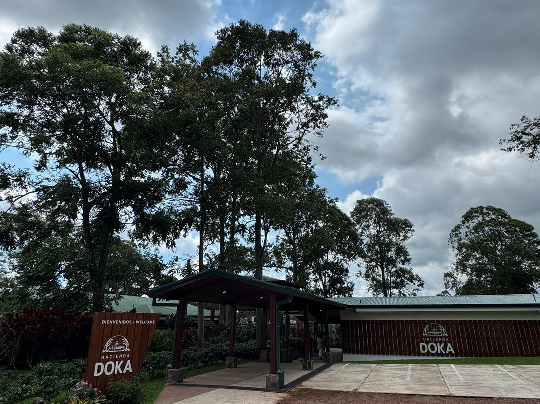 Doka Estate Coffee Tour-Poas Volcano National Park必去景点