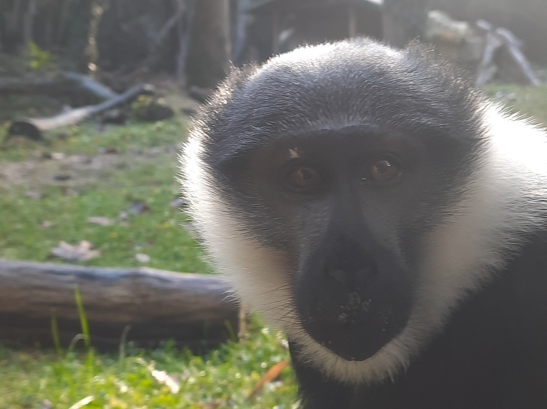 Parco Natura Viva-布索伦戈必去景点