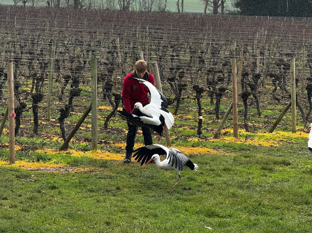 Wild Zoological Park-Bobbington必去景点