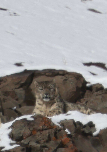 Wildlife Expeditions India-Khatia必去景点