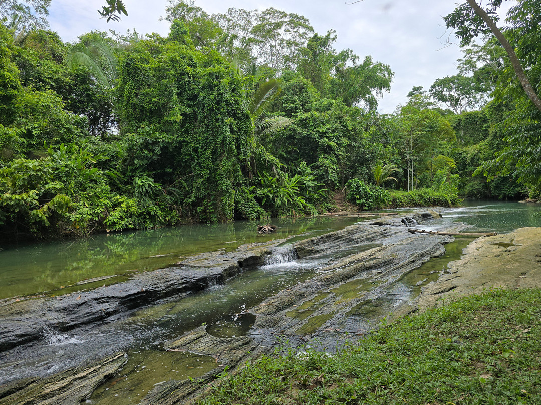 Shanay Timpishka-Pucallpa必去景点