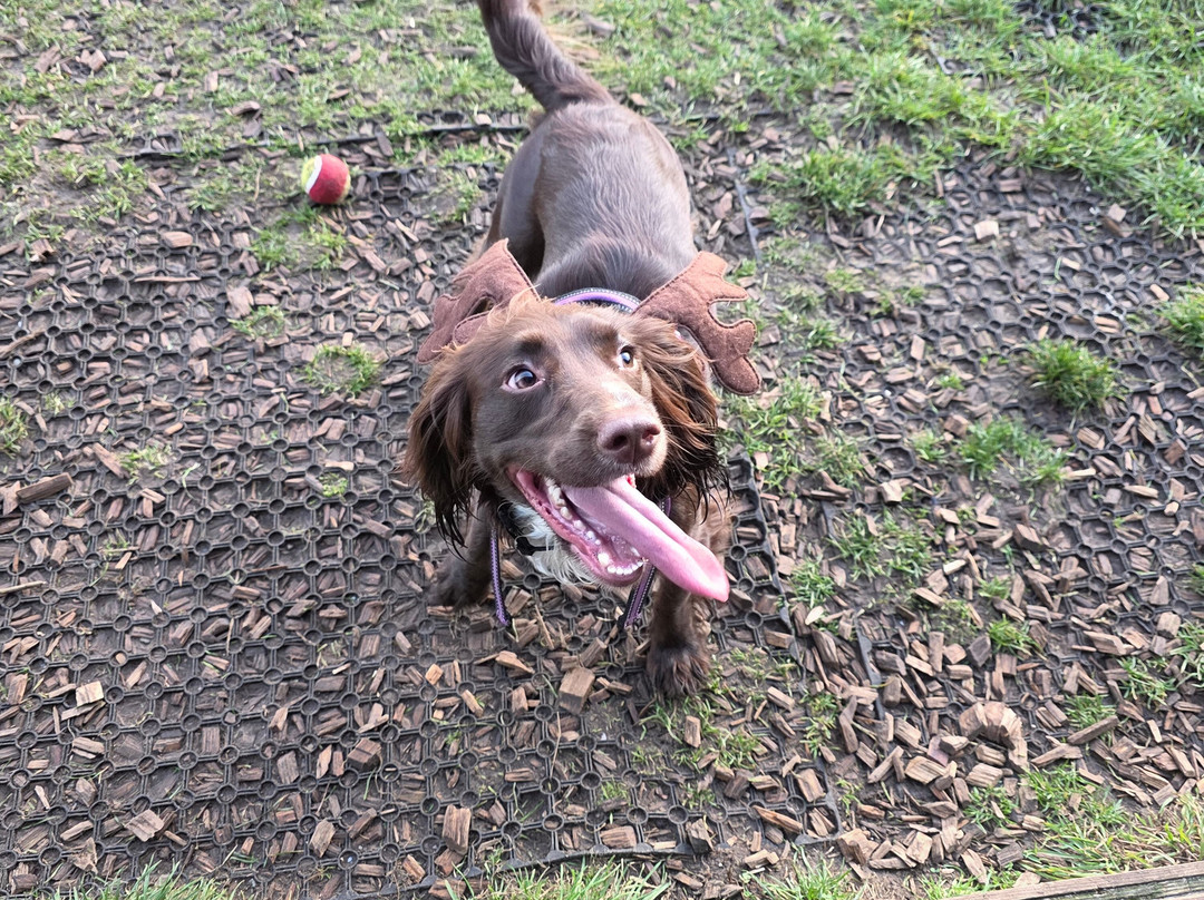 Seaview Dog Meadow-Wiveton必去景点