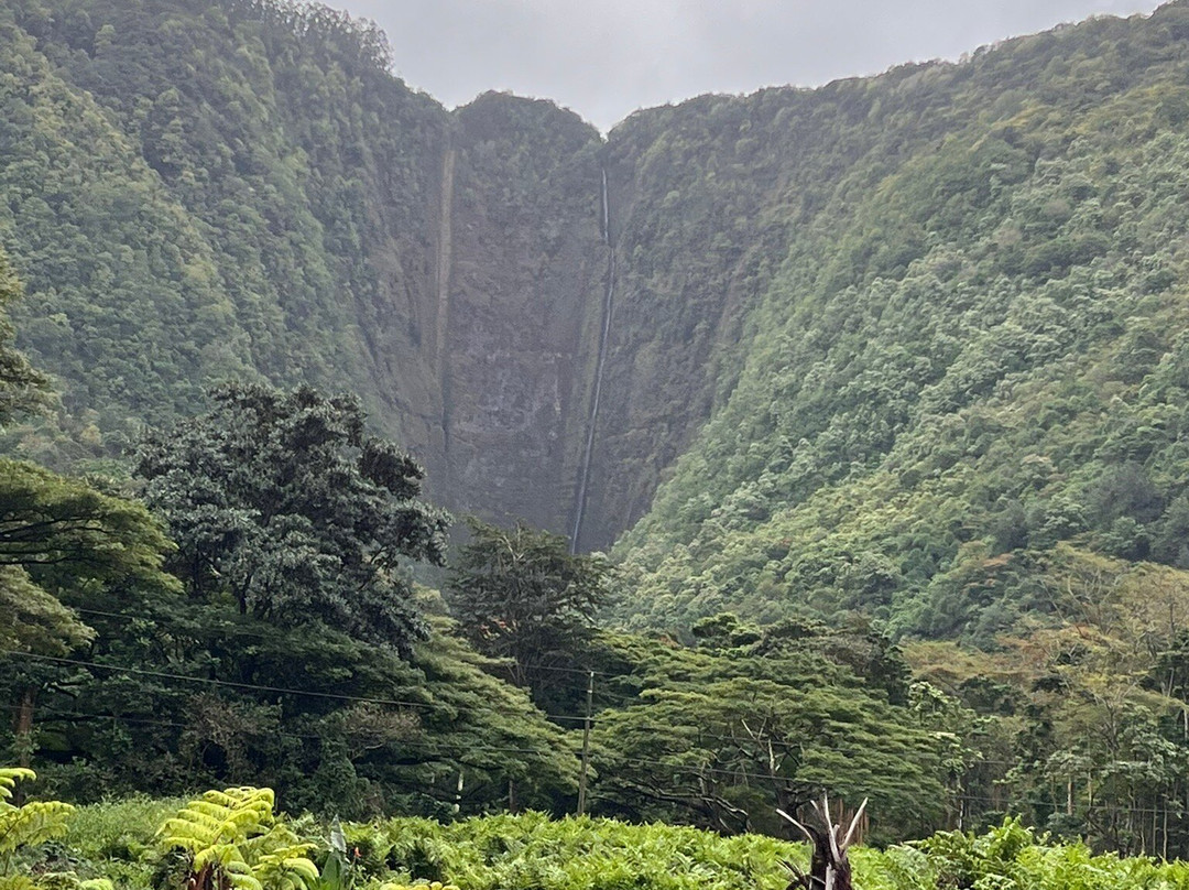 Waipio Valley Shuttle-库库伊哈尔必去景点