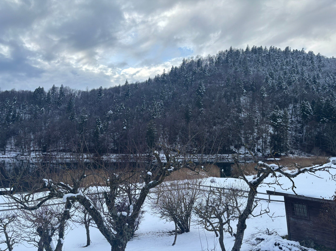 Lago di Lavarone-Lavarone必去景点
