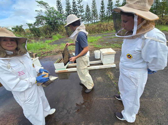 Mānoa Honey & Mead-瓦西瓦必去景点