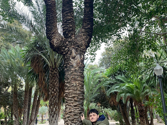 Palmeral of Elche-埃尔切必去景点