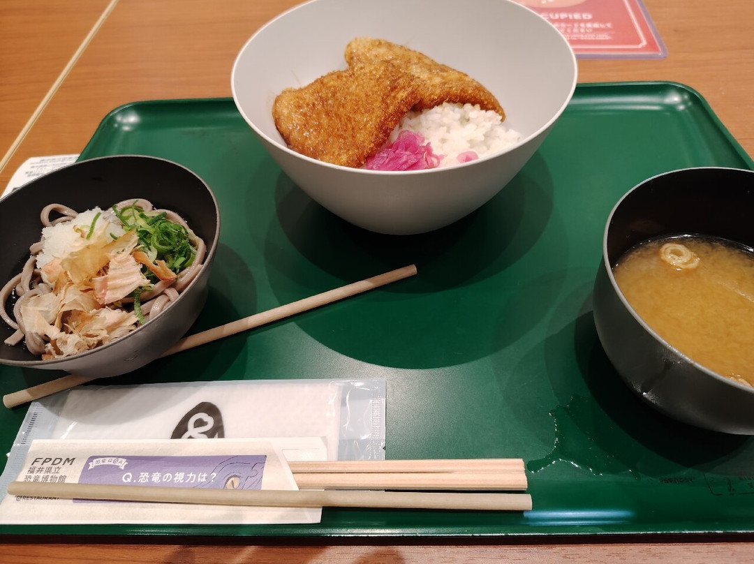 Fukui Prefectural Dinosaur Museum-胜山市必去景点