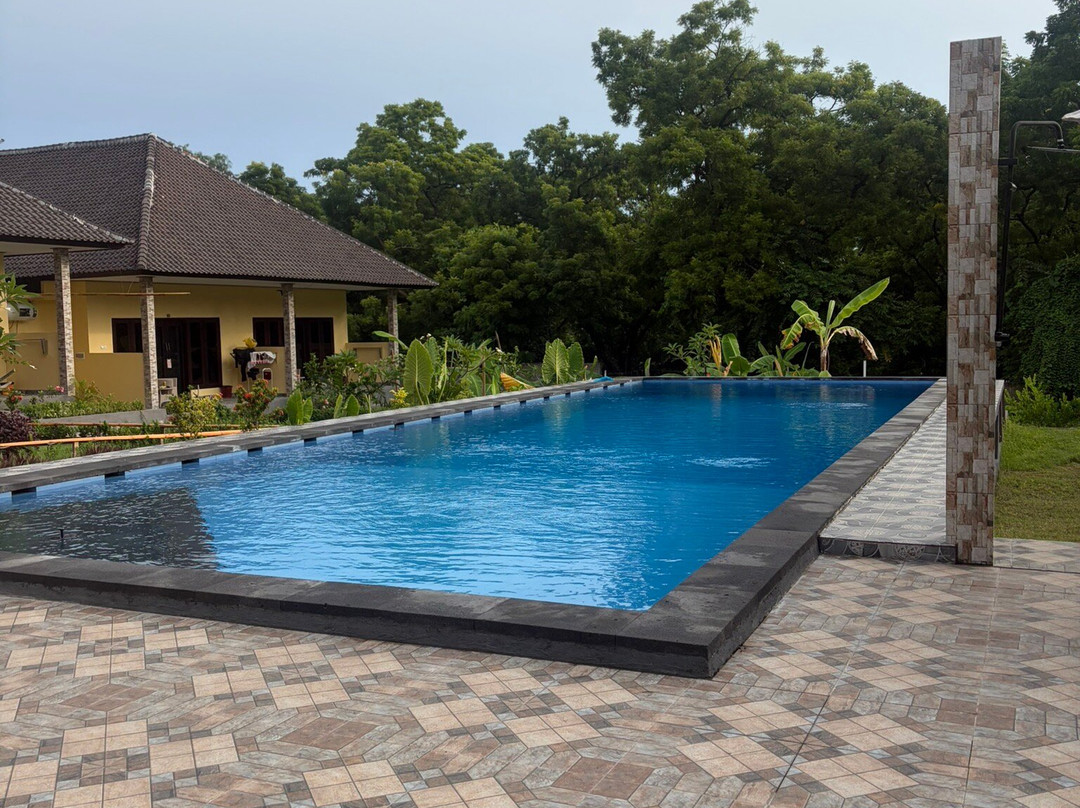 Scuba Tribe Bali-图兰本必去景点