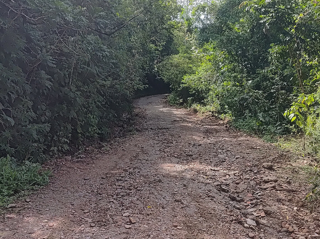 Morro das Antenas-Jaragua Do Sul必去景点