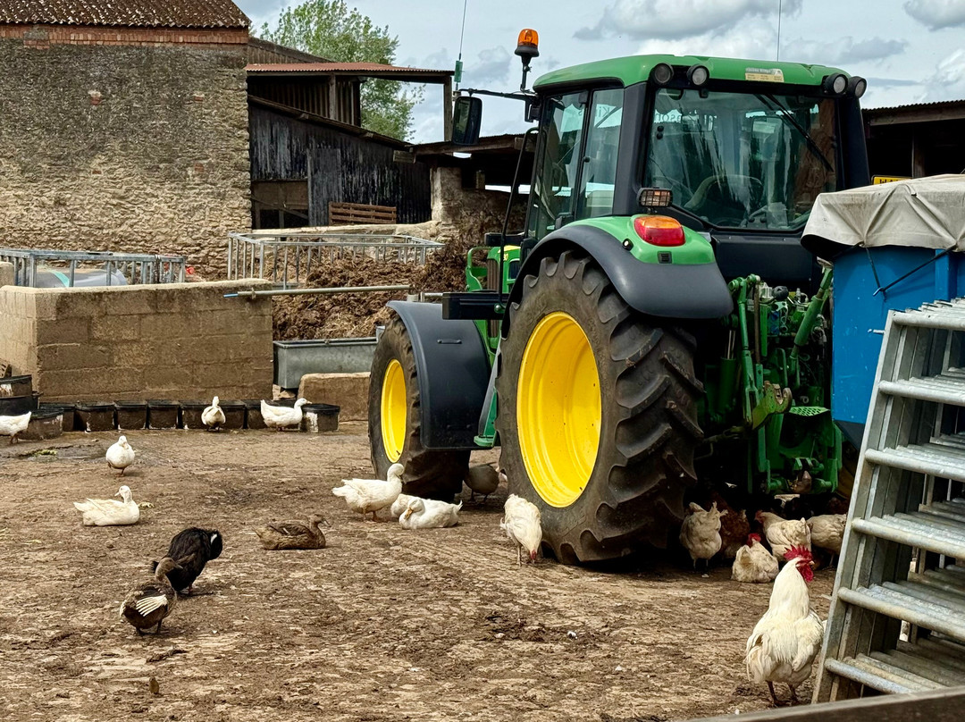 Red Down Farm Shop-Highworth必去景点