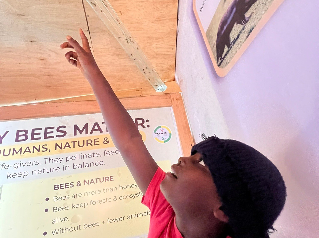 Lushoto Apiculture Museum-卢绍托必去景点