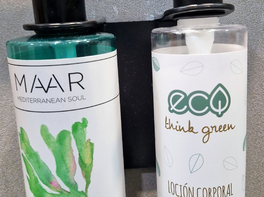 Hotel AS Hoteles Torrent主图