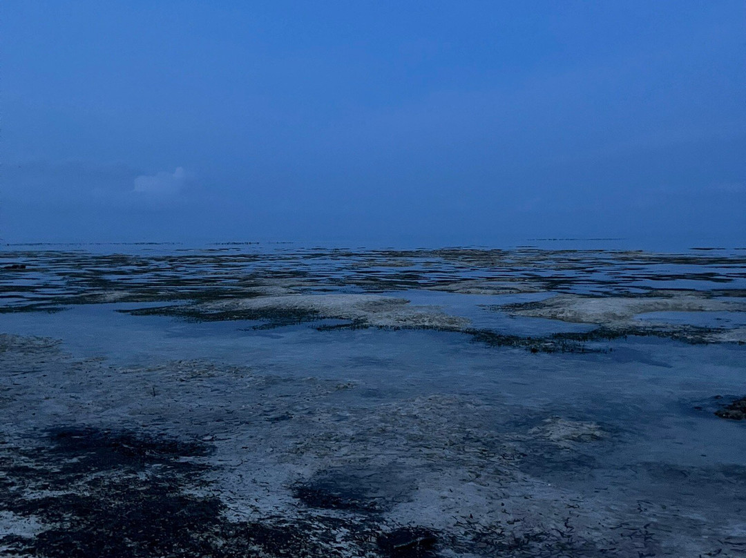 Jambiani Beach-江比阿尼必去景点