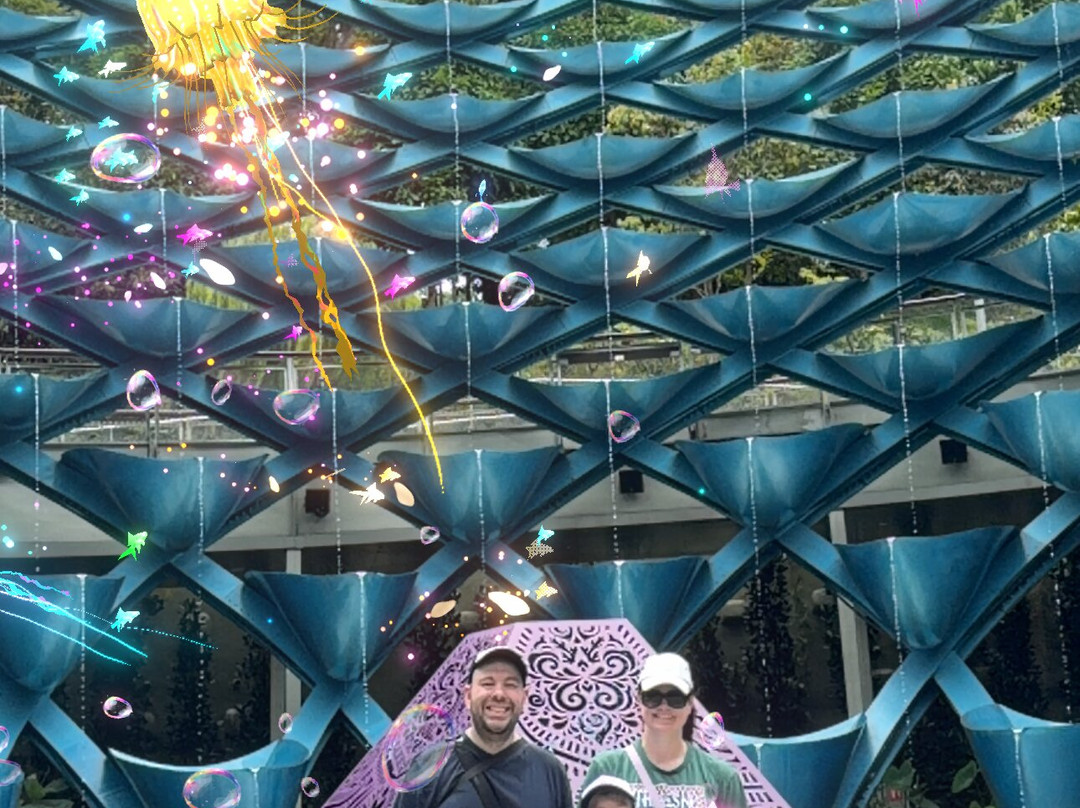 Sentosa SensoryScape-新加坡必去景点