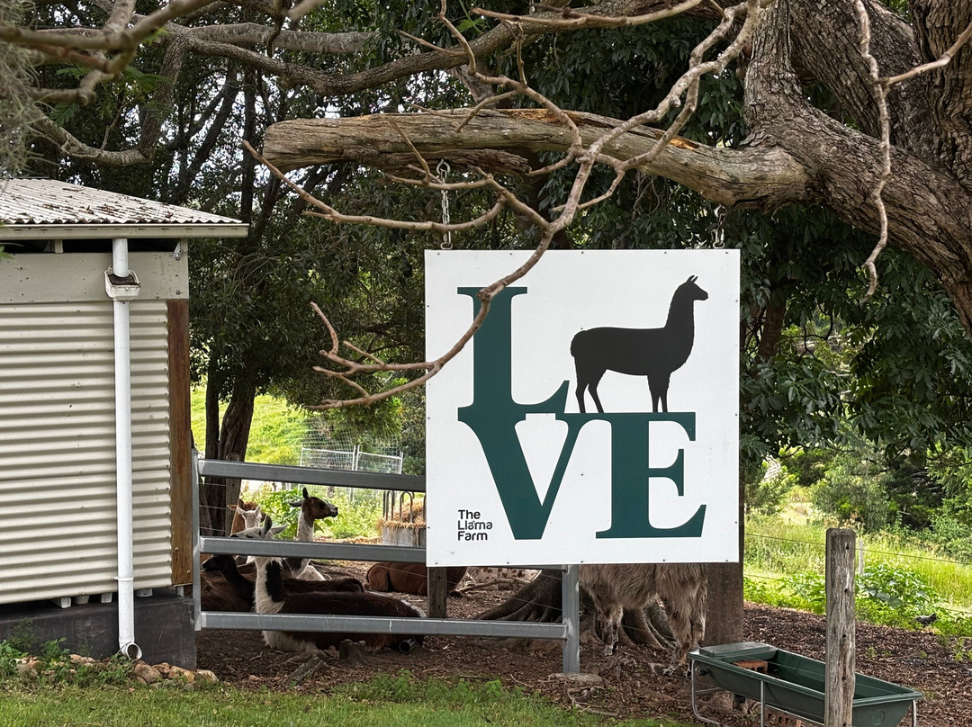 The Llama Farm