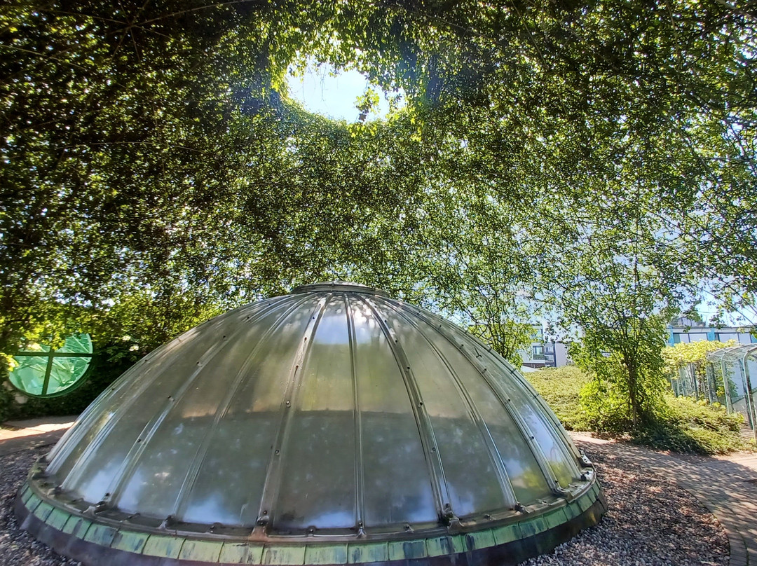 University of Warsaw Library-华沙必去景点