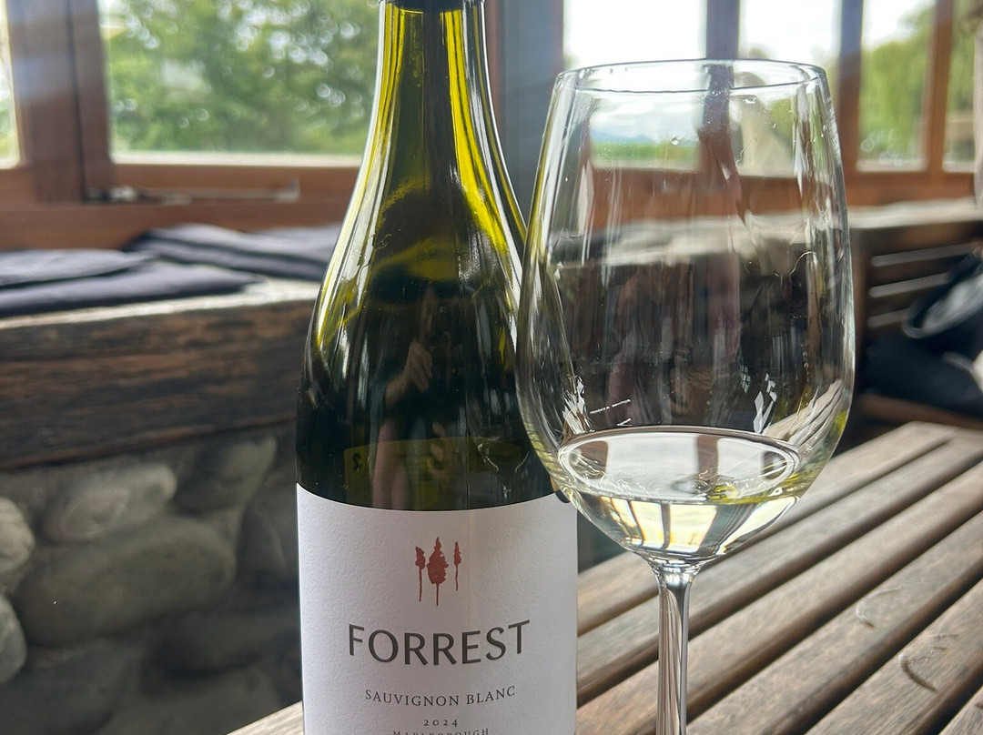 Forrest Wines Cellar Door-伦威克必去景点