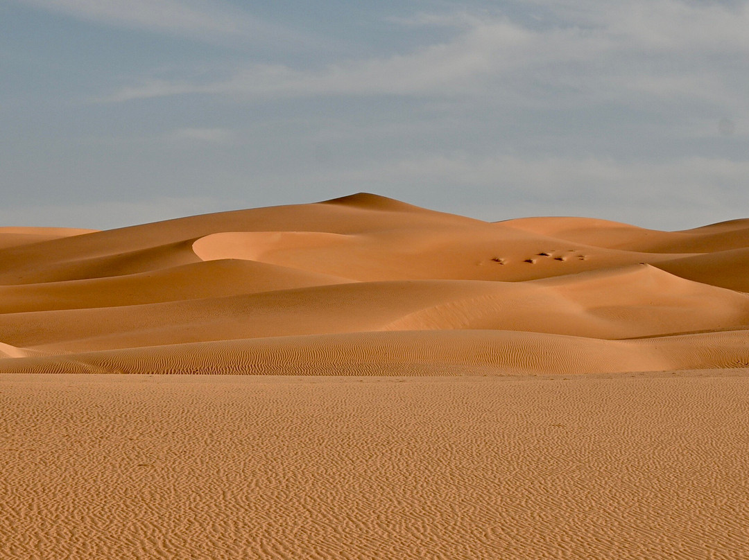 Atar Voyages-Atar必去景点