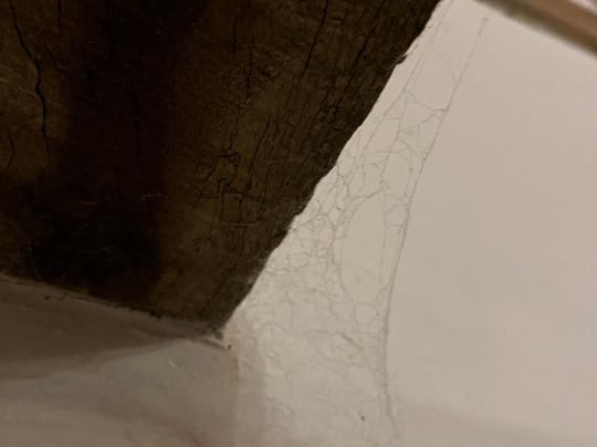 The Dickleburgh Crown主图