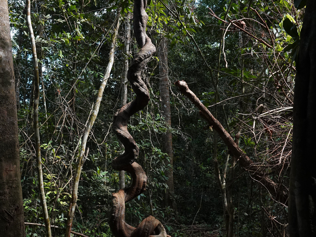 Banlung Nature Trekking Tours-邦隆必去景点